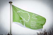 Green flag flying 